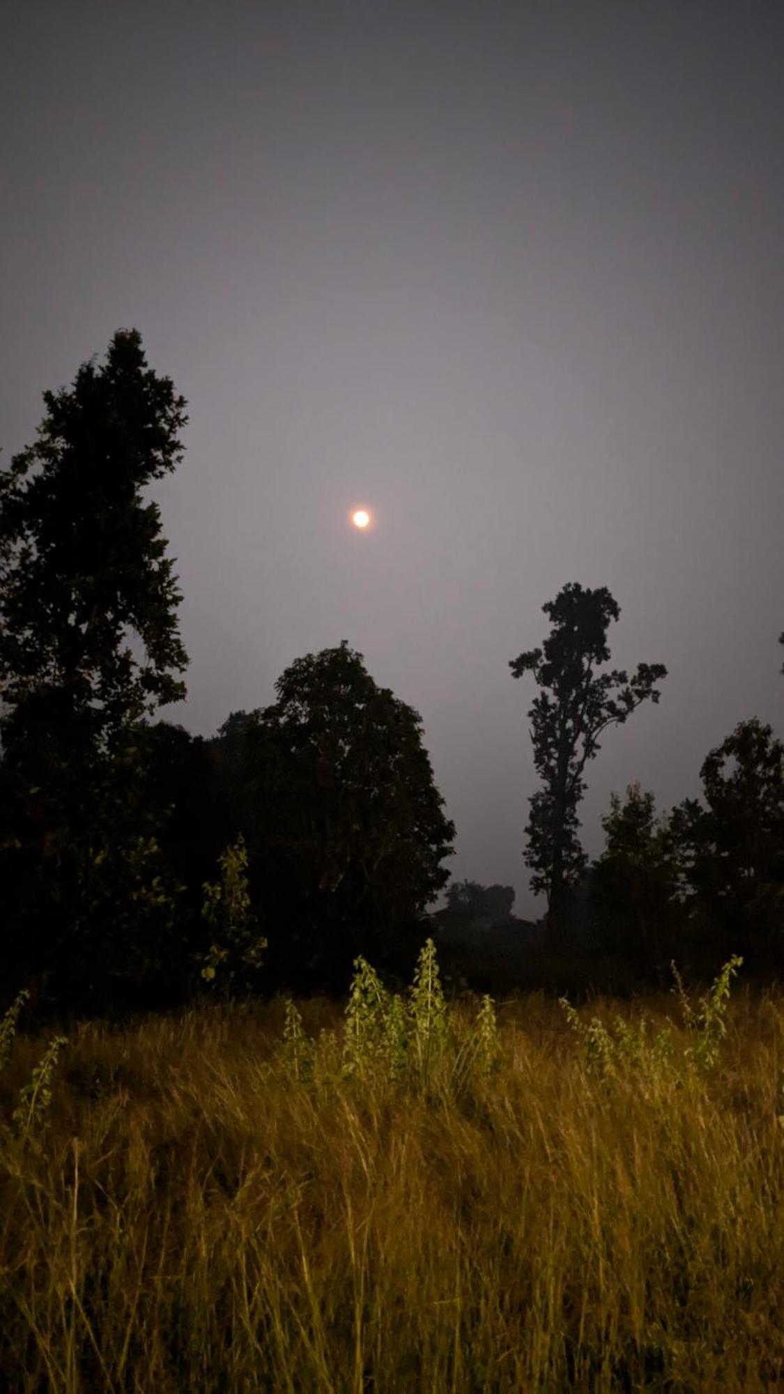 Athulyam Kanha, Kanha National Park, Mukki Gate Khāpa 외부 사진