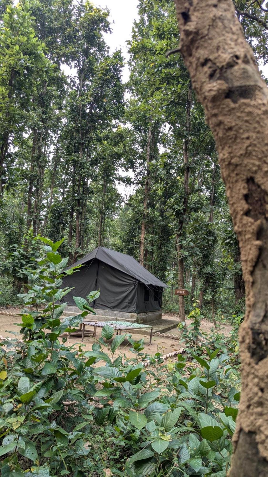 Athulyam Kanha, Kanha National Park, Mukki Gate Khāpa 외부 사진