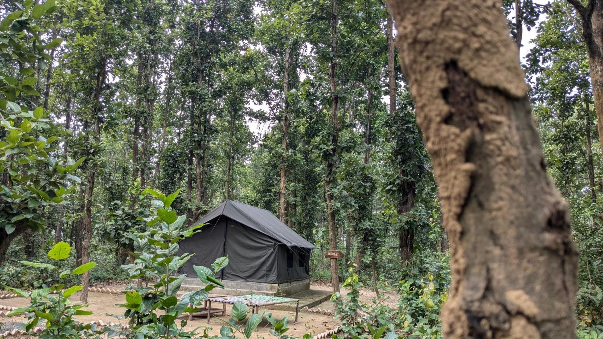 Athulyam Kanha, Kanha National Park, Mukki Gate Khāpa 외부 사진