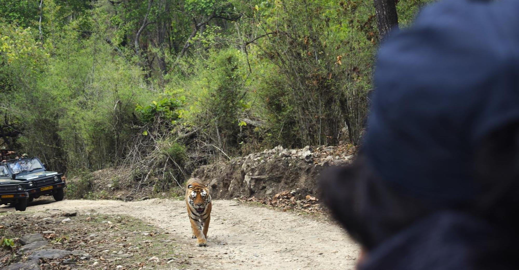 Athulyam Kanha, Kanha National Park, Mukki Gate Khāpa 외부 사진